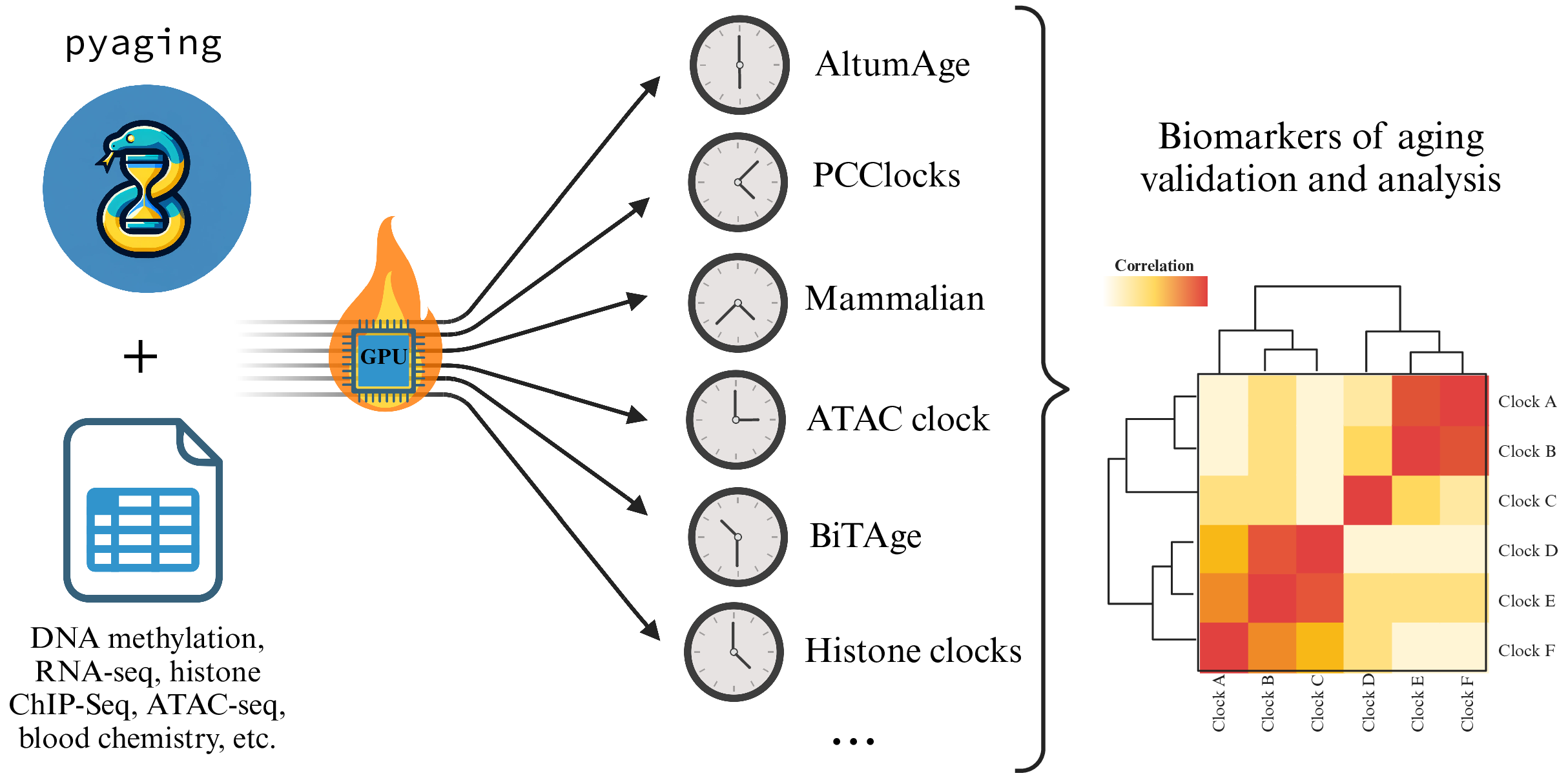 Pyaging Graphical Abstract